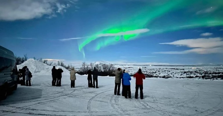 hoe spot je walvissen in ijsland