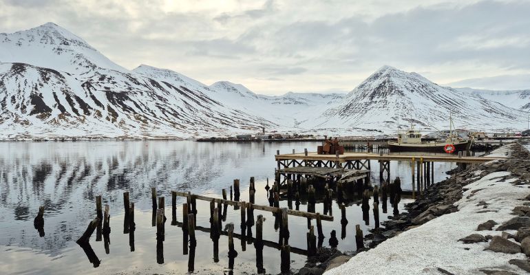 soorten walvissen IJsland