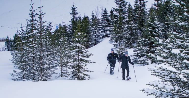 sneeuwschoenwandelen in bos IJsland