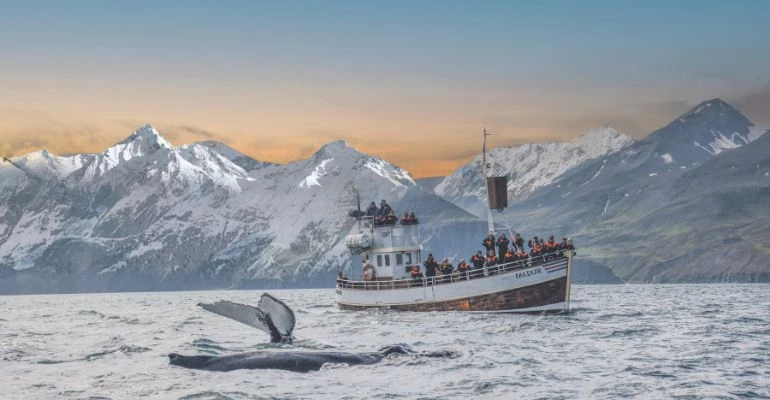 bevroren watervallen in ijsland tijdens wintersporten