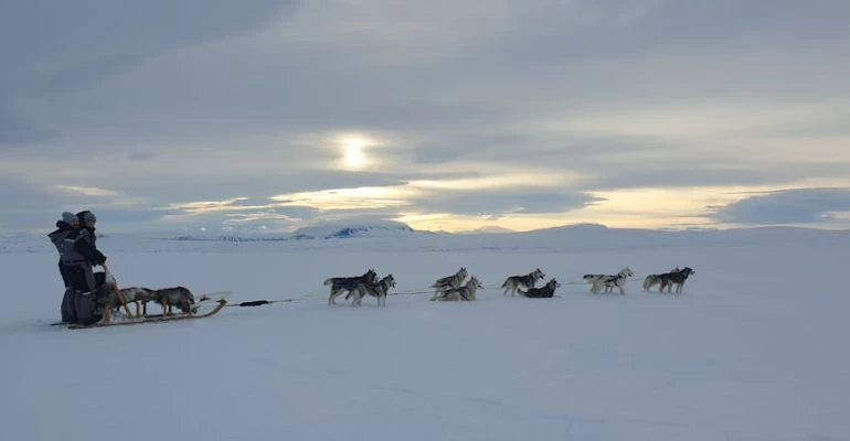 waar kun je een huskytocht beleven in IJsland in de winter