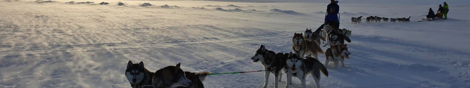 huskytocht in Noord-IJsland in de winter