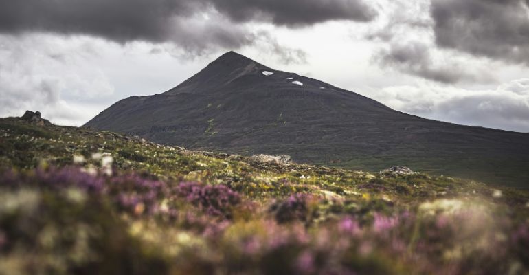 hoe spot je walvissen in ijsland