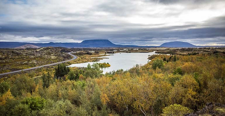 vogels spotten in Myvatn