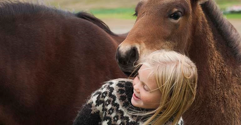 Rijden op een paard in IJsland