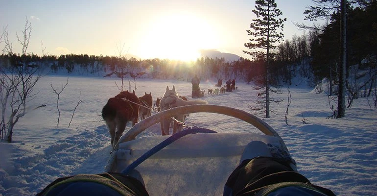 huskysafari lapland