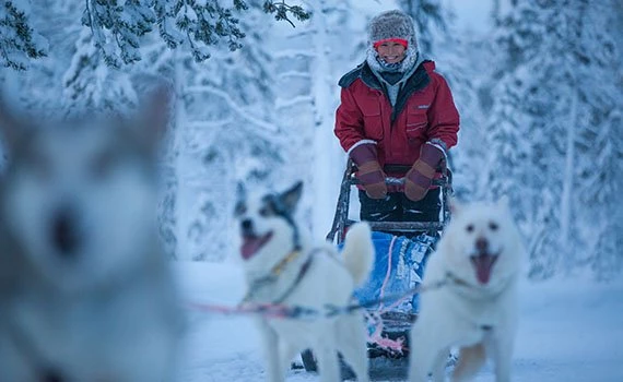 winter lapland