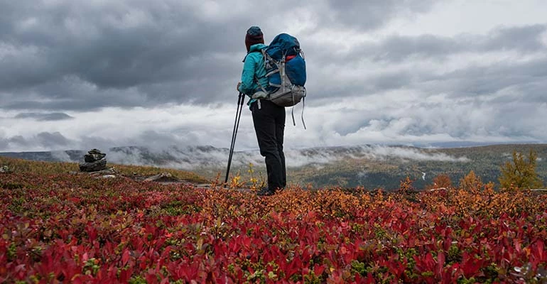 Badjelannda National Park Zweeds Lapland