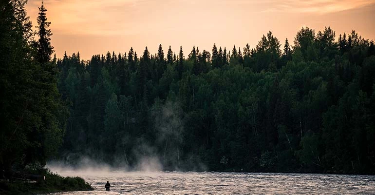 Muttos National Park Zweeds Lapland