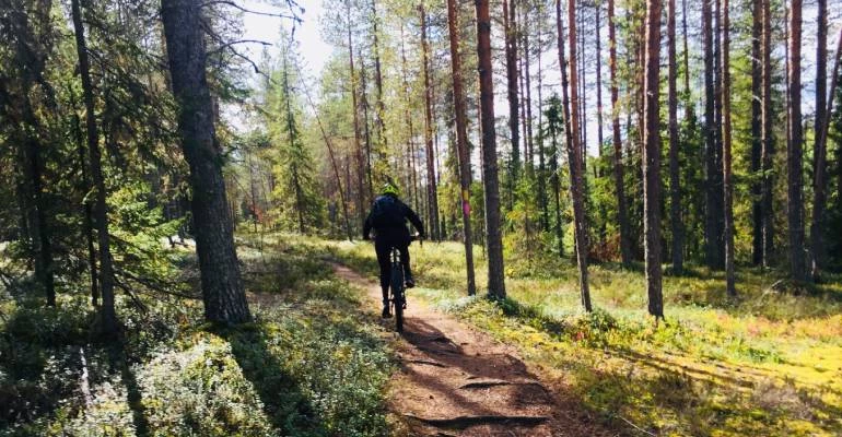 Syote National Park Fins Lapland