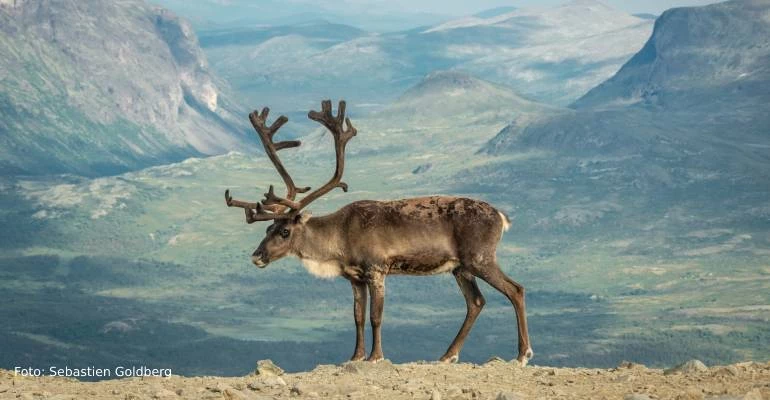 Jotunheimen National Park