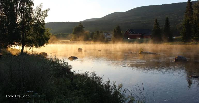 Hallingskarvet National Park