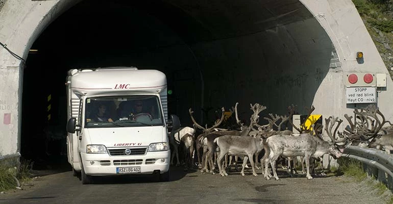 Tunnel camper Noordkaap