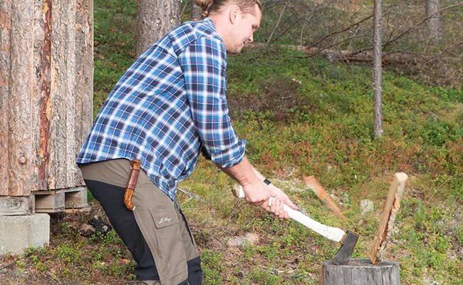 Houthakkende Björn in Zweden