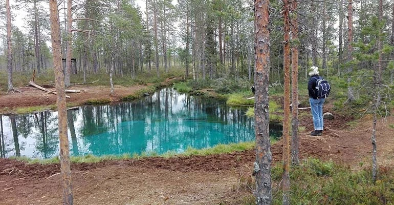 Storforsen natuurreservaat