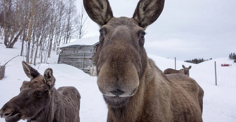 eland noorwegen