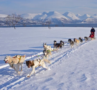 excursies tromso noorwegen