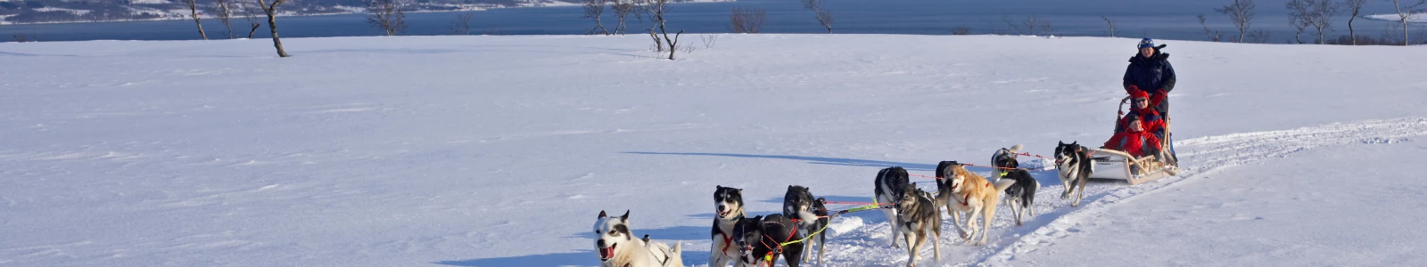 Excursies in Tromsø