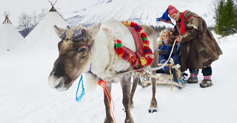 rendieren sami tromso noorwegen