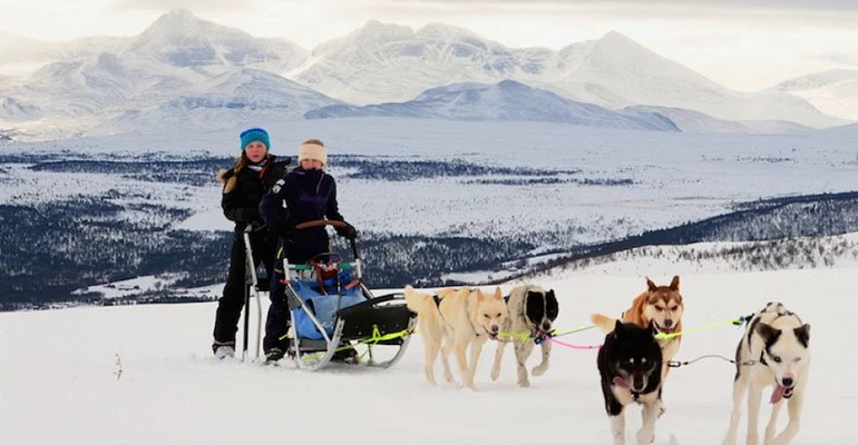 husky tromso noorwegen