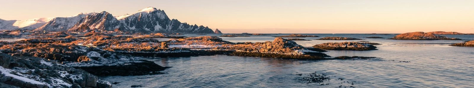 Vesterålen winter: walvissen, orka's en het noorderlicht