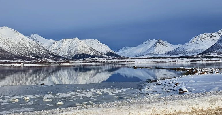 vesteralen winter walvissen