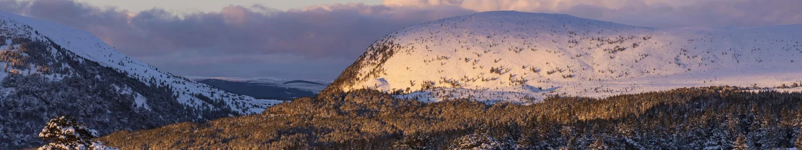 Waarom Schotland in de winter?