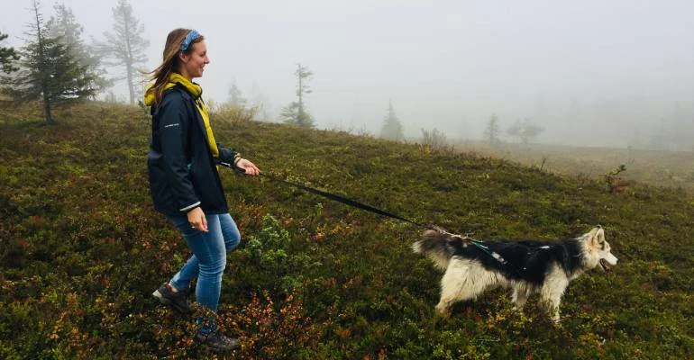 Hiken met husky's